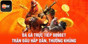 Đá gà trực tiếp 1