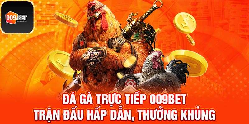 Đá gà trực tiếp 1