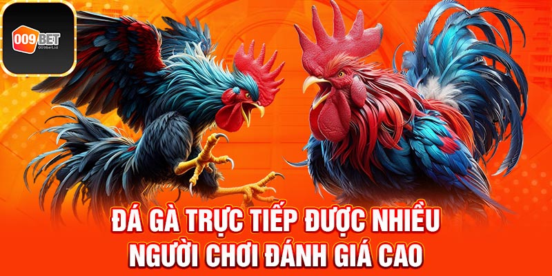 Đá gà trực tiếp 2