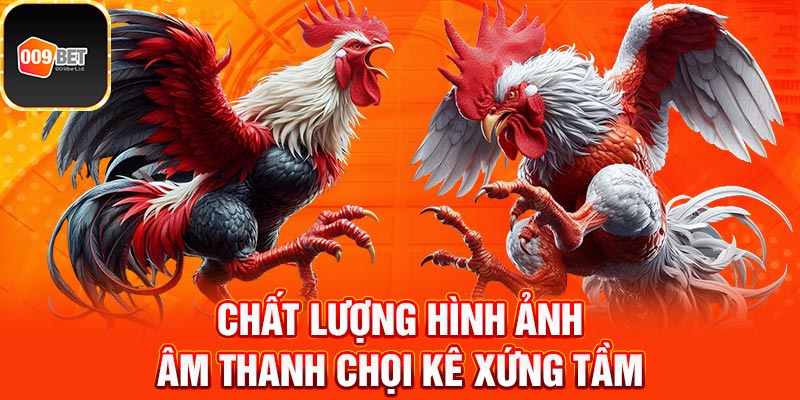 Đá gà trực tiếp 3