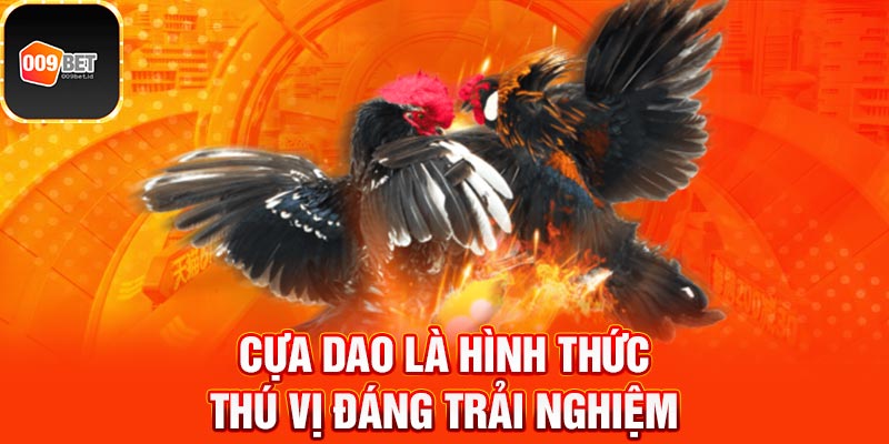Đá gà trực tiếp 4